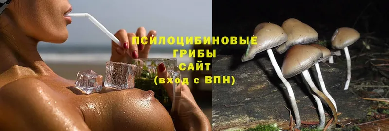 Псилоцибиновые грибы MAGIC MUSHROOMS  как найти закладки  Находка 